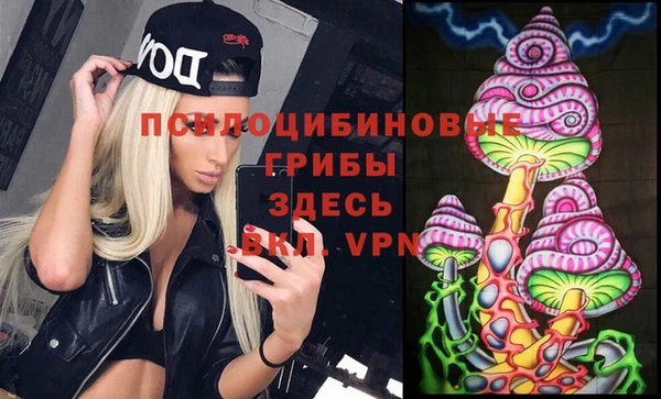 крисы Богданович