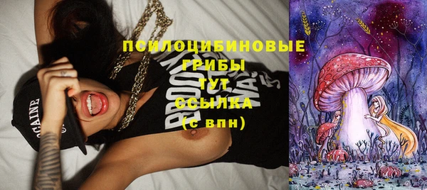 крисы Богданович